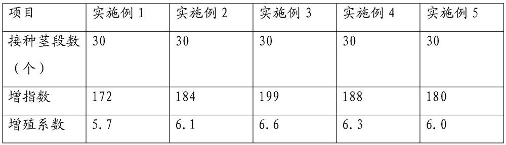 Blueberry tissue culture seedling substrate and preparation method thereof