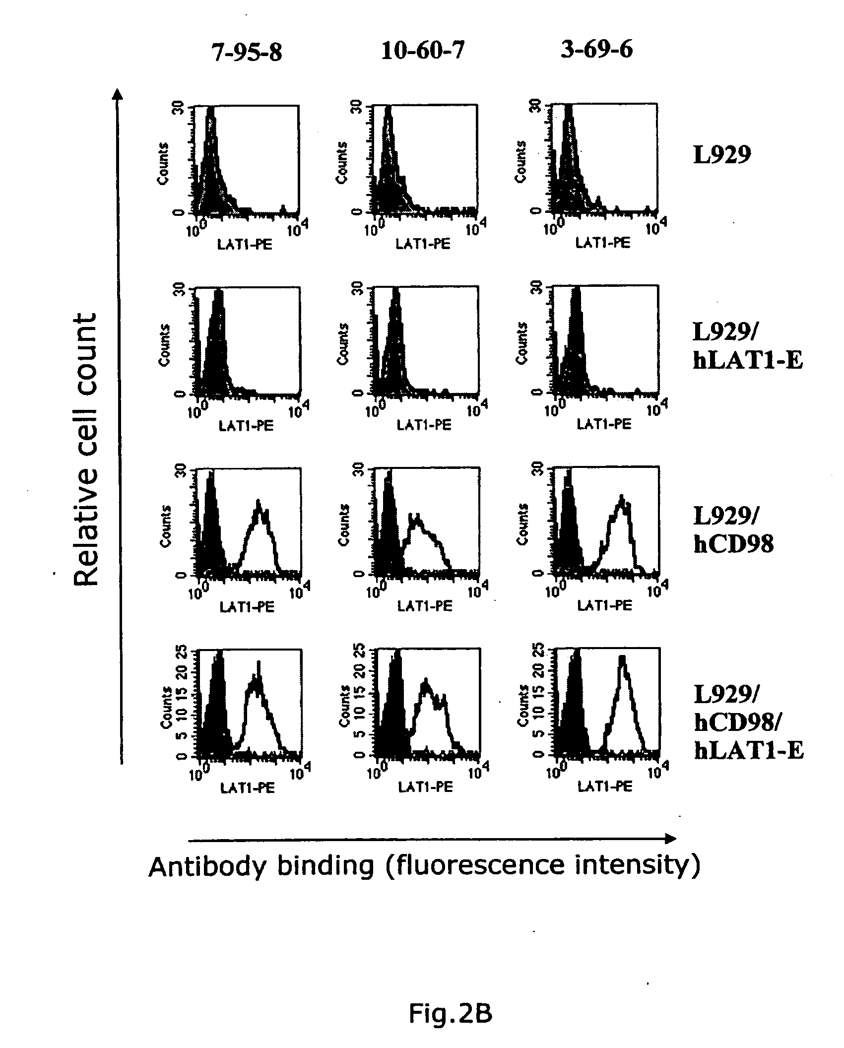 Novel Anti-cd98 antibody