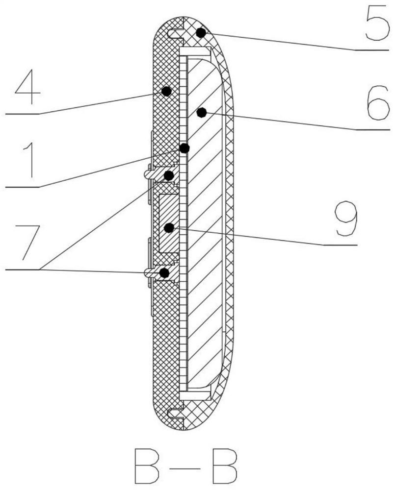 Blood oxygen and body temperature detector and blood oxygen and body temperature detection system