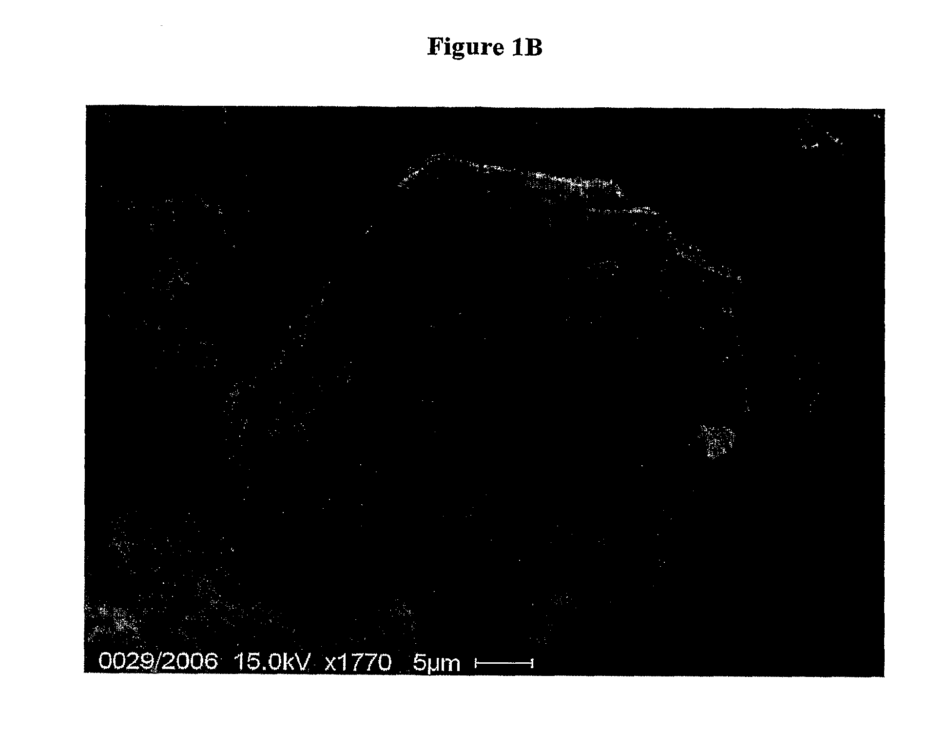 Gastroresistant Pharmaceutical Formulations Containing Rifaximin