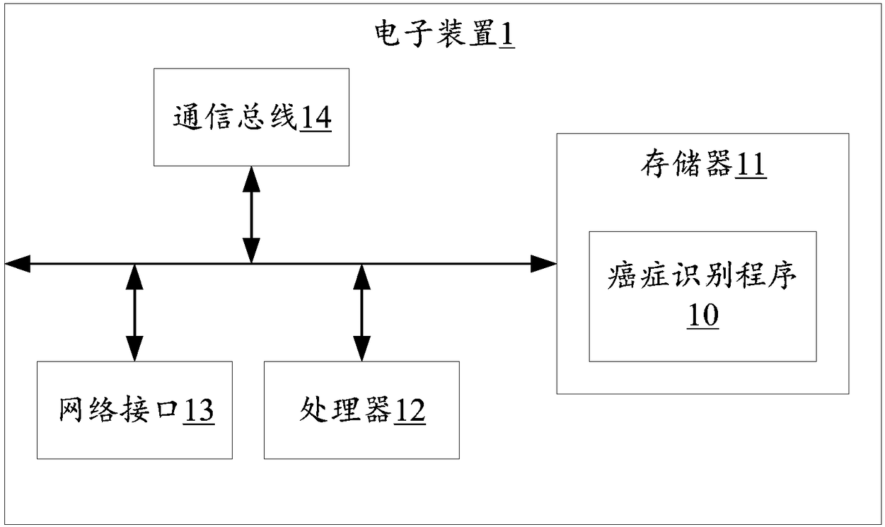 Identification method, identification device and storage medium for cancer