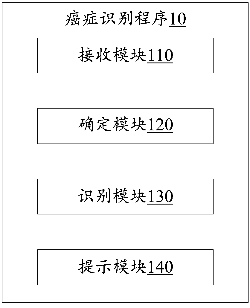 Identification method, identification device and storage medium for cancer