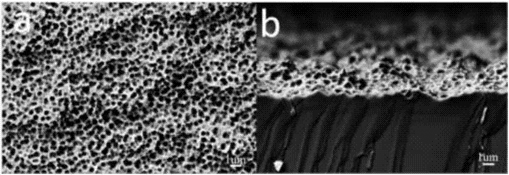 Semiconductor photoelectrode photocatalytic water splitting reaction device based on black silicon PN knots and manufacturing method thereof