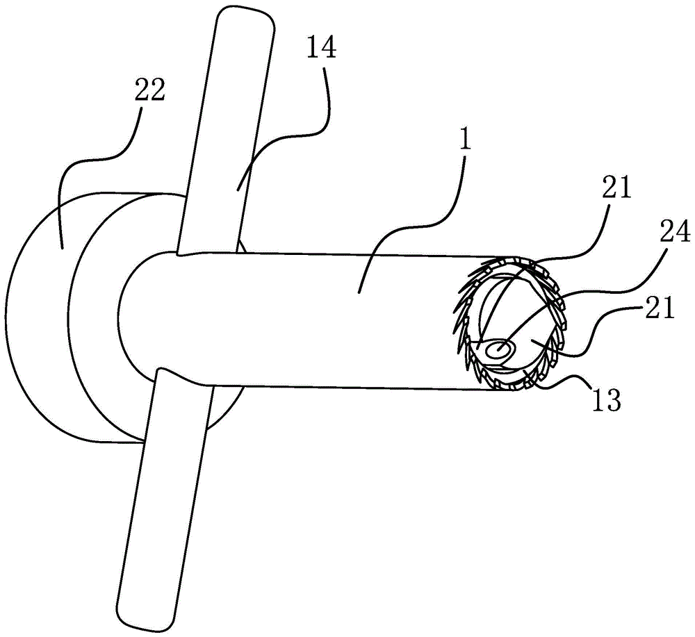 Multi-purpose bone harvesting device