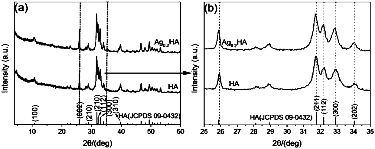 Large-size silver-loaded hydroxyapatite porous microsphere material and preparation method thereof