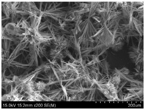 Large-size silver-loaded hydroxyapatite porous microsphere material and preparation method thereof