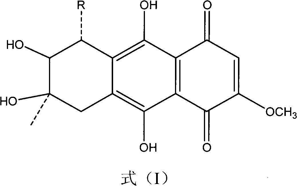 Application of quinine compound in preparing anti-tubercle bacillus drugs