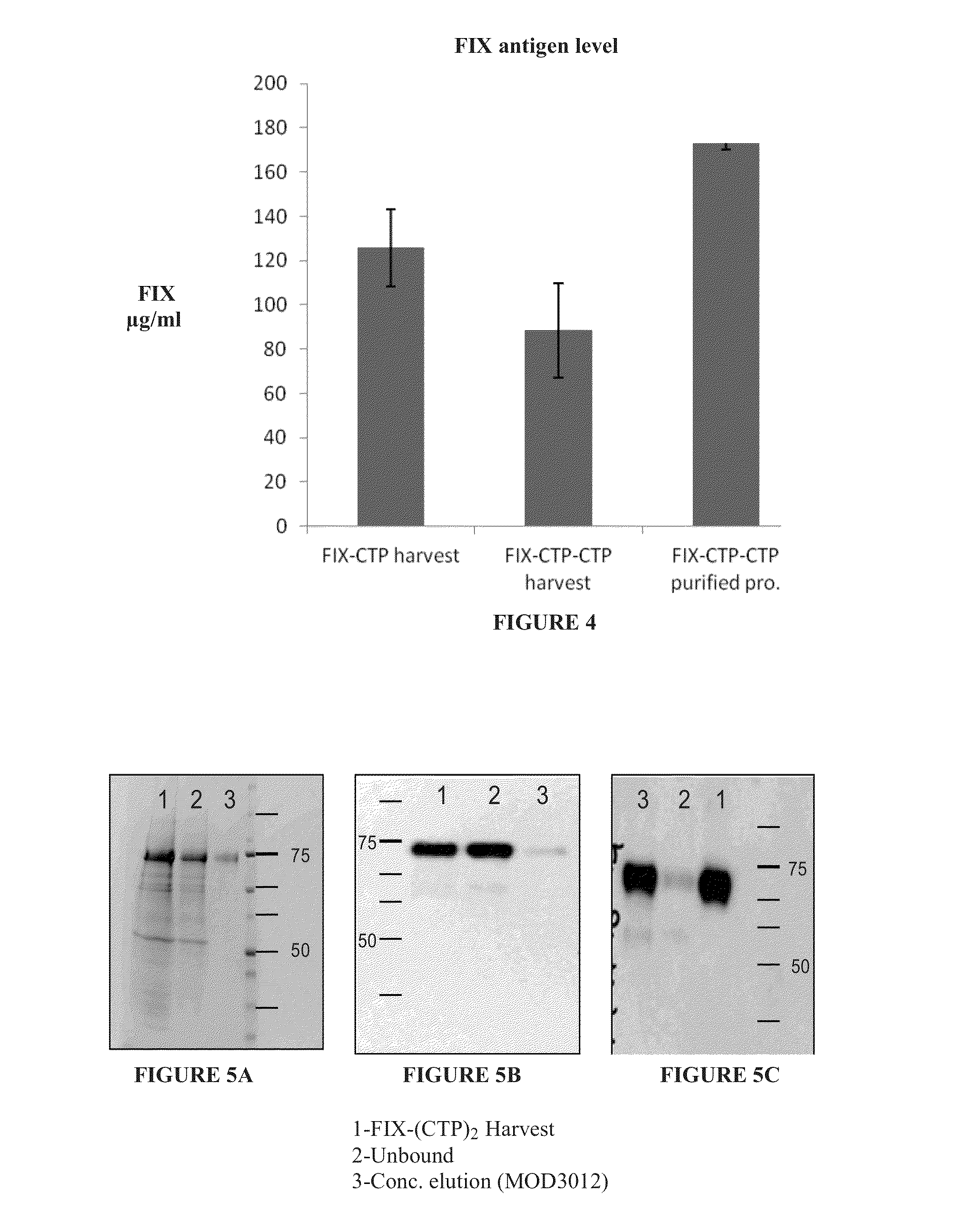 Long-acting coagulation factors and methods of producing same