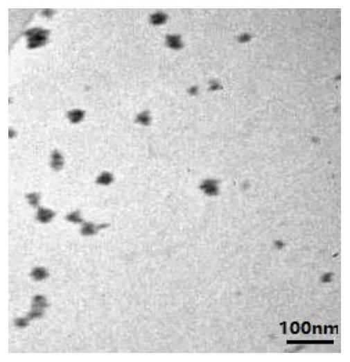 Hydrogen peroxide-responsive targeted drug-loaded nanomaterial and preparation method