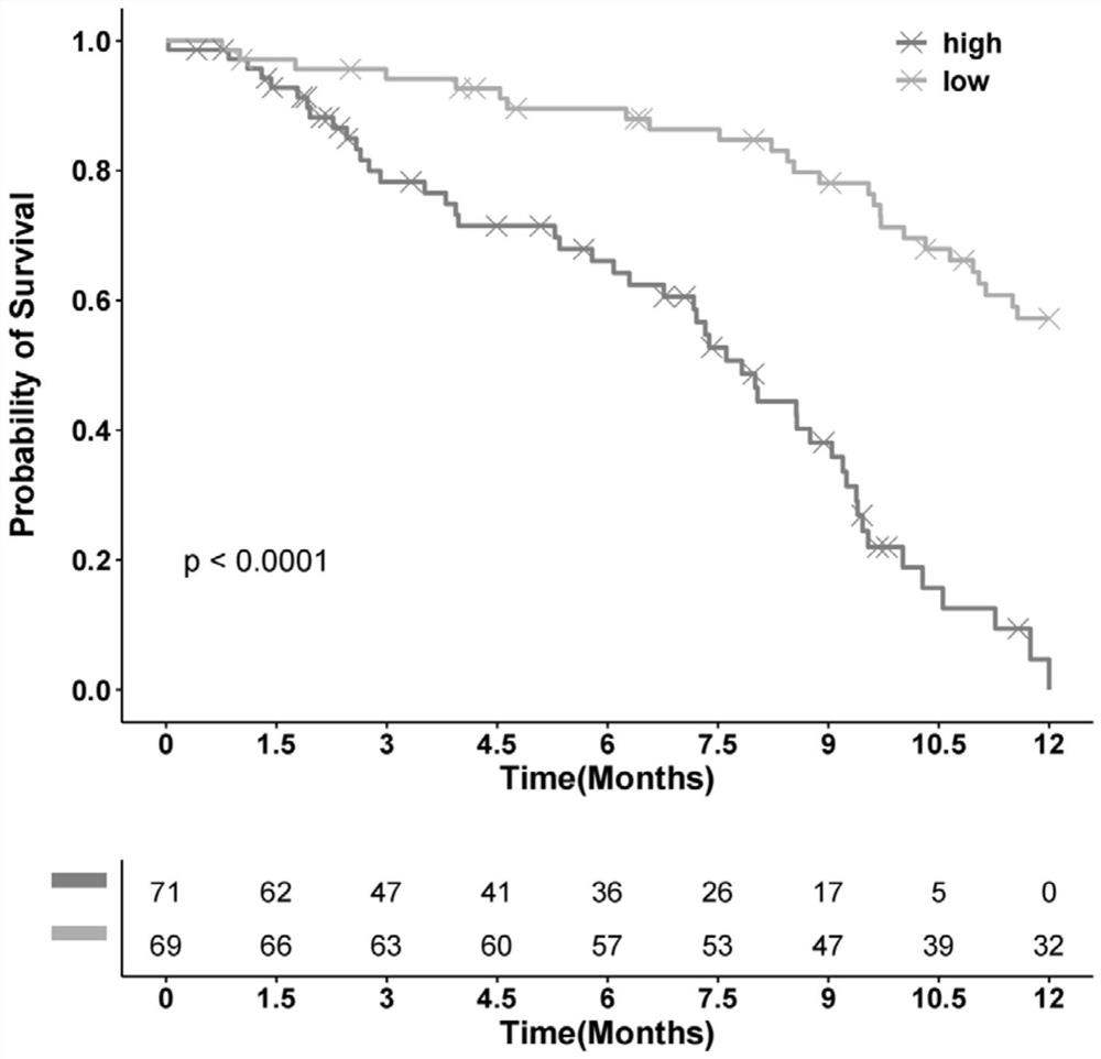 Dynamic monitoring and evaluation method for pancreatic ductal adenocarcinoma