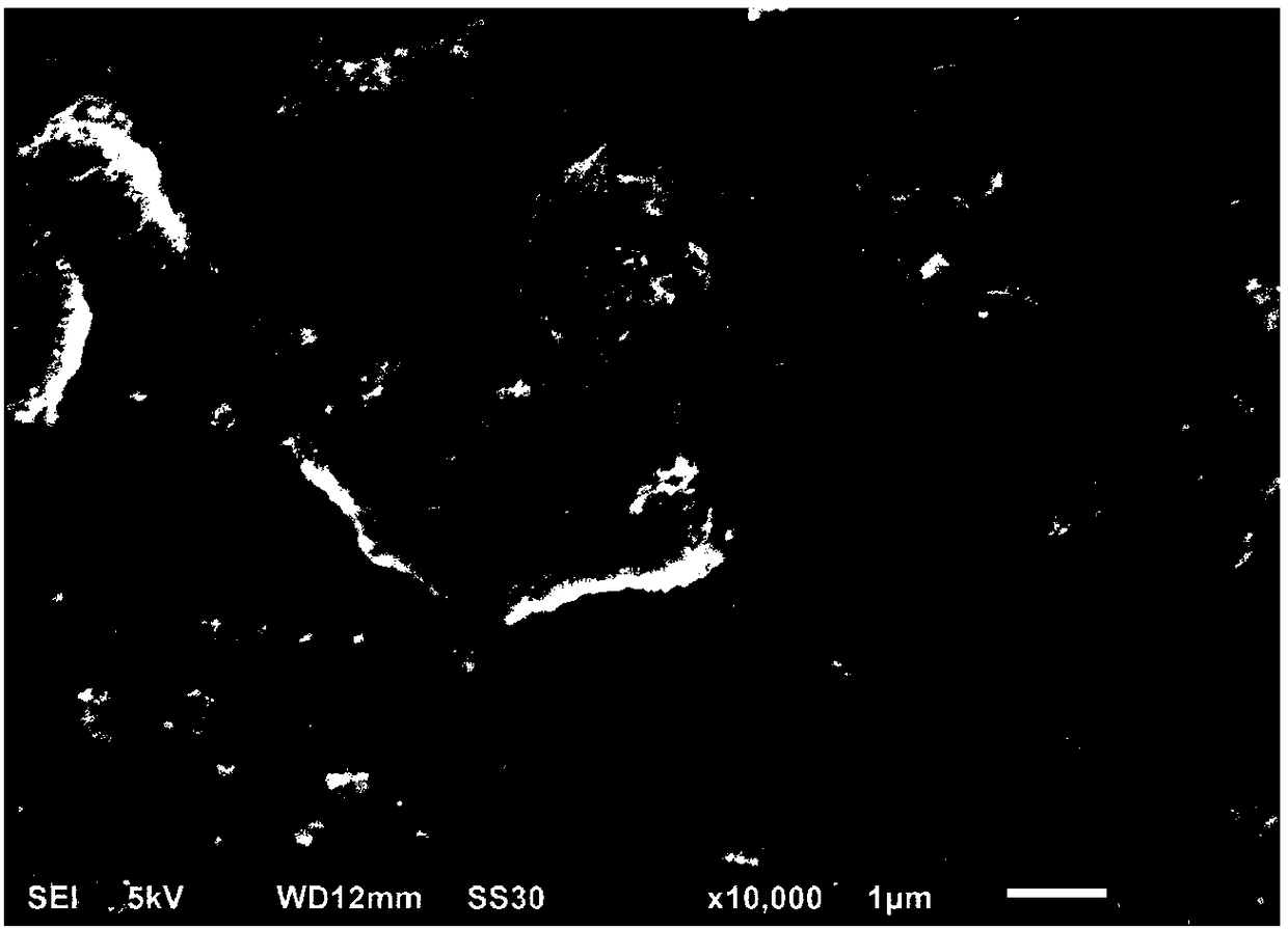 Preparation method of conductive glue solution for negative electrode of lithium ion battery