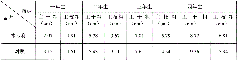 Excellent and labor-saving train cultivation method for figs