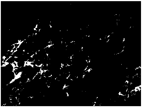 Preparation method of nickel ion modified covalent organic framework material and application thereof