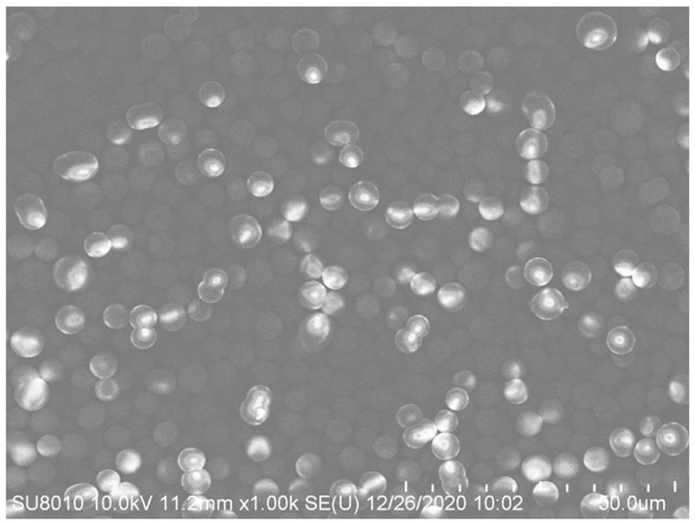 Preparation method of defective graphene anchored double transition metal monatomic synthesis ammonia catalyst