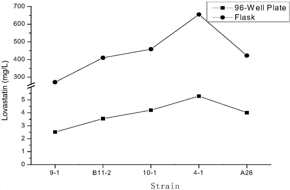 Lovastatin high-yield monascus and high-throughput screening method thereof