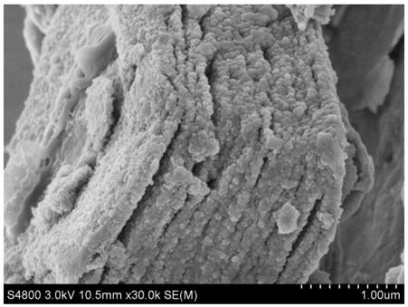 A kind of titanium carbide/polyaniline composite material and preparation method thereof