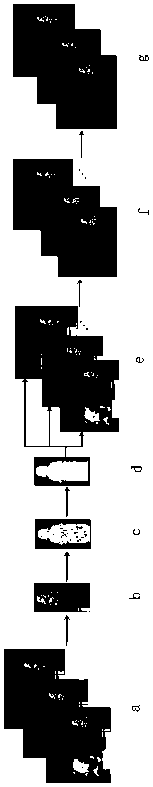 Global computing imaging method based on focusing stack monomer data subset architecture