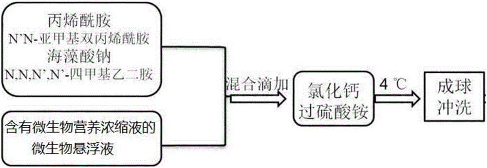 Microbial self-healing gel profile control agent and preparation method and application thereof