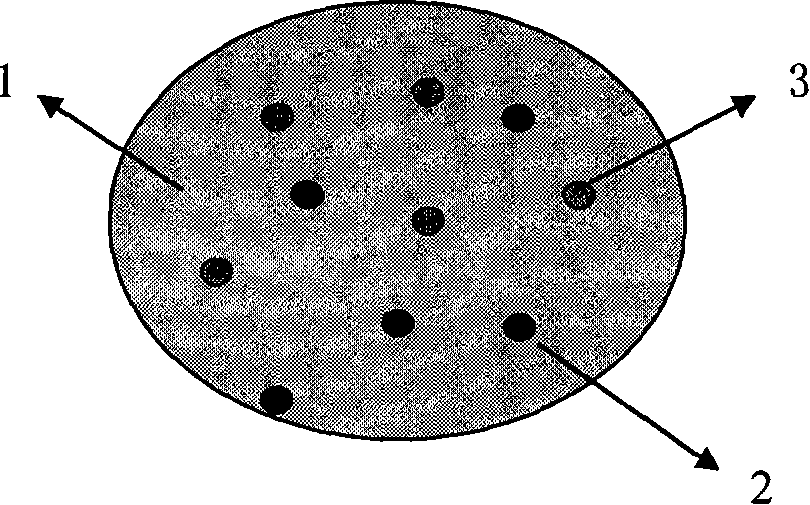 Magnetic nanometer particulate of liposoluble photosensitizer and method for preparing the same