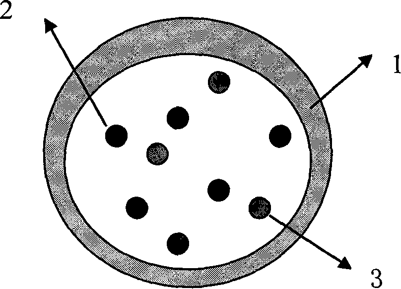 Magnetic nanometer particulate of liposoluble photosensitizer and method for preparing the same