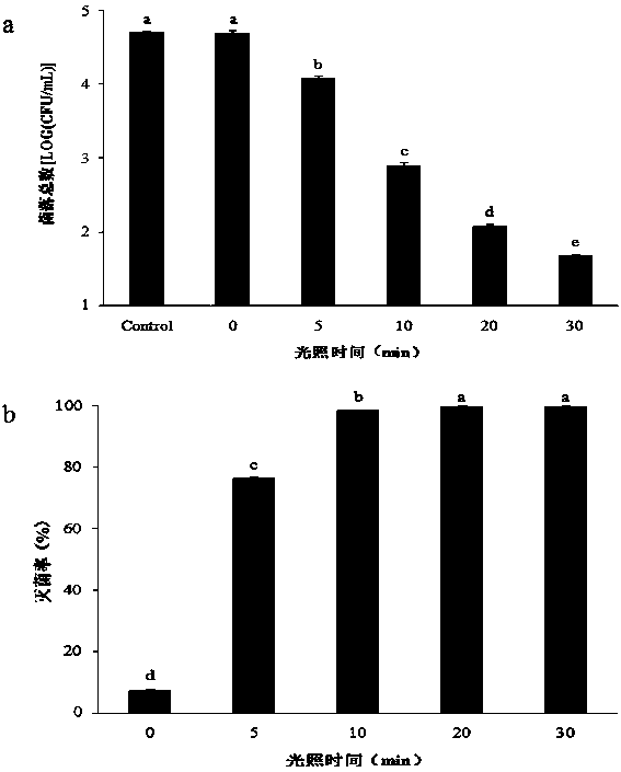 Photodynamic sterilization fresh-keeping film for packaging ready-to-eat jellyfish