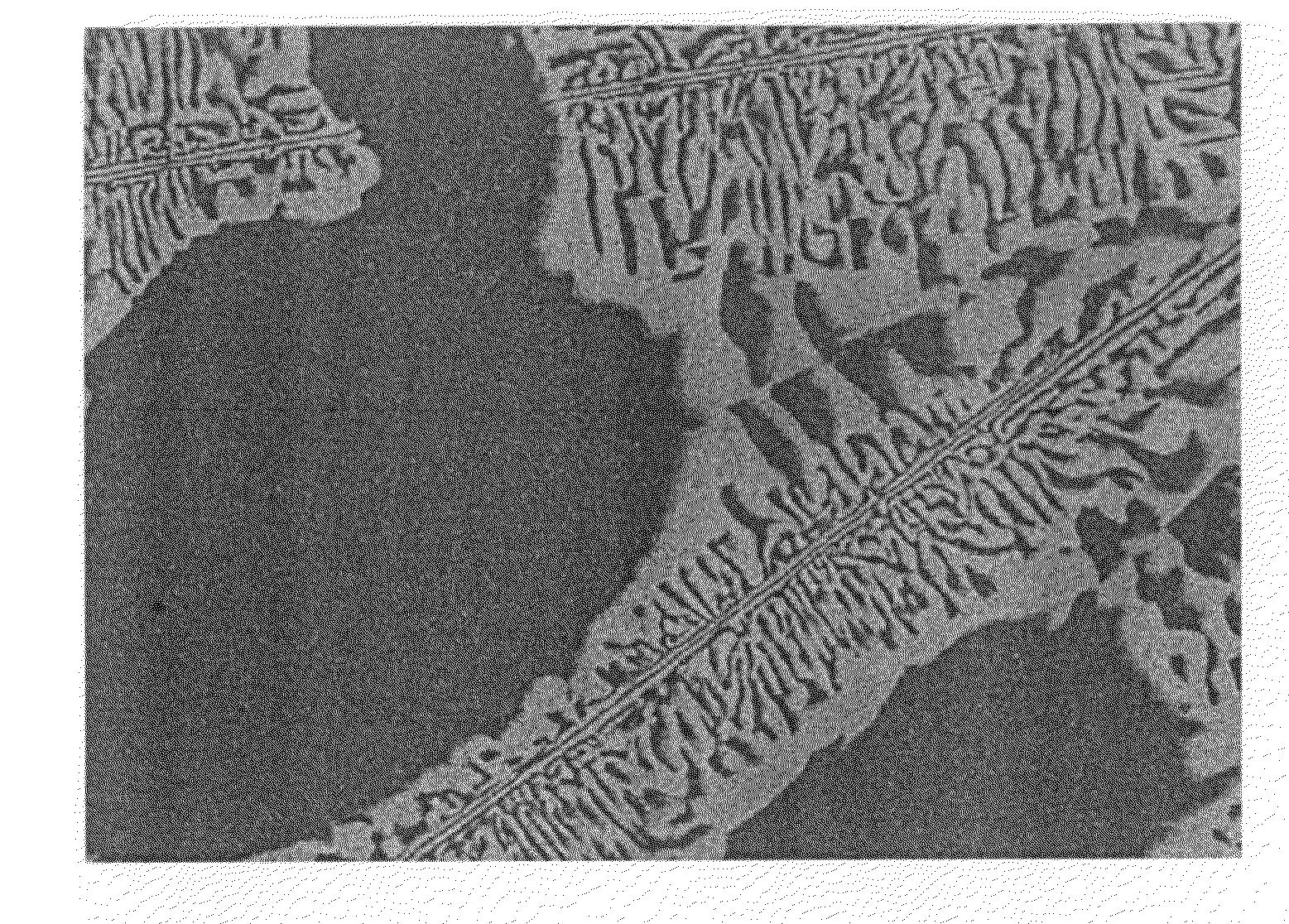 Cobalt-iron alloy sputtering target with high pass through flux and method for manufacturing the same