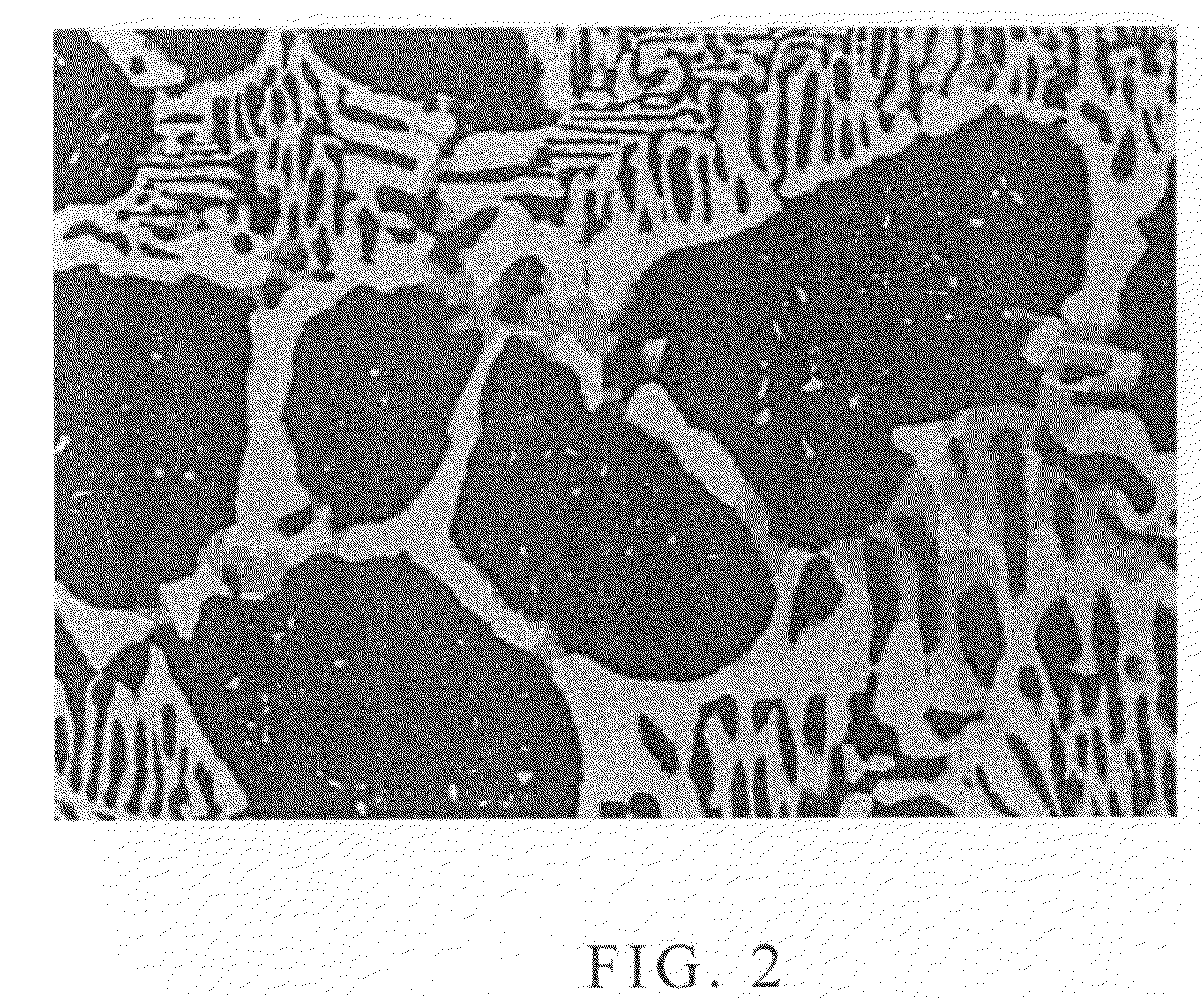 Cobalt-iron alloy sputtering target with high pass through flux and method for manufacturing the same