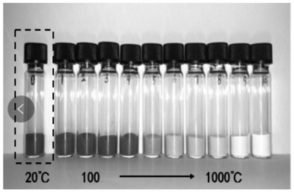 Black talc-based antibacterial agent as well as preparation method and application thereof