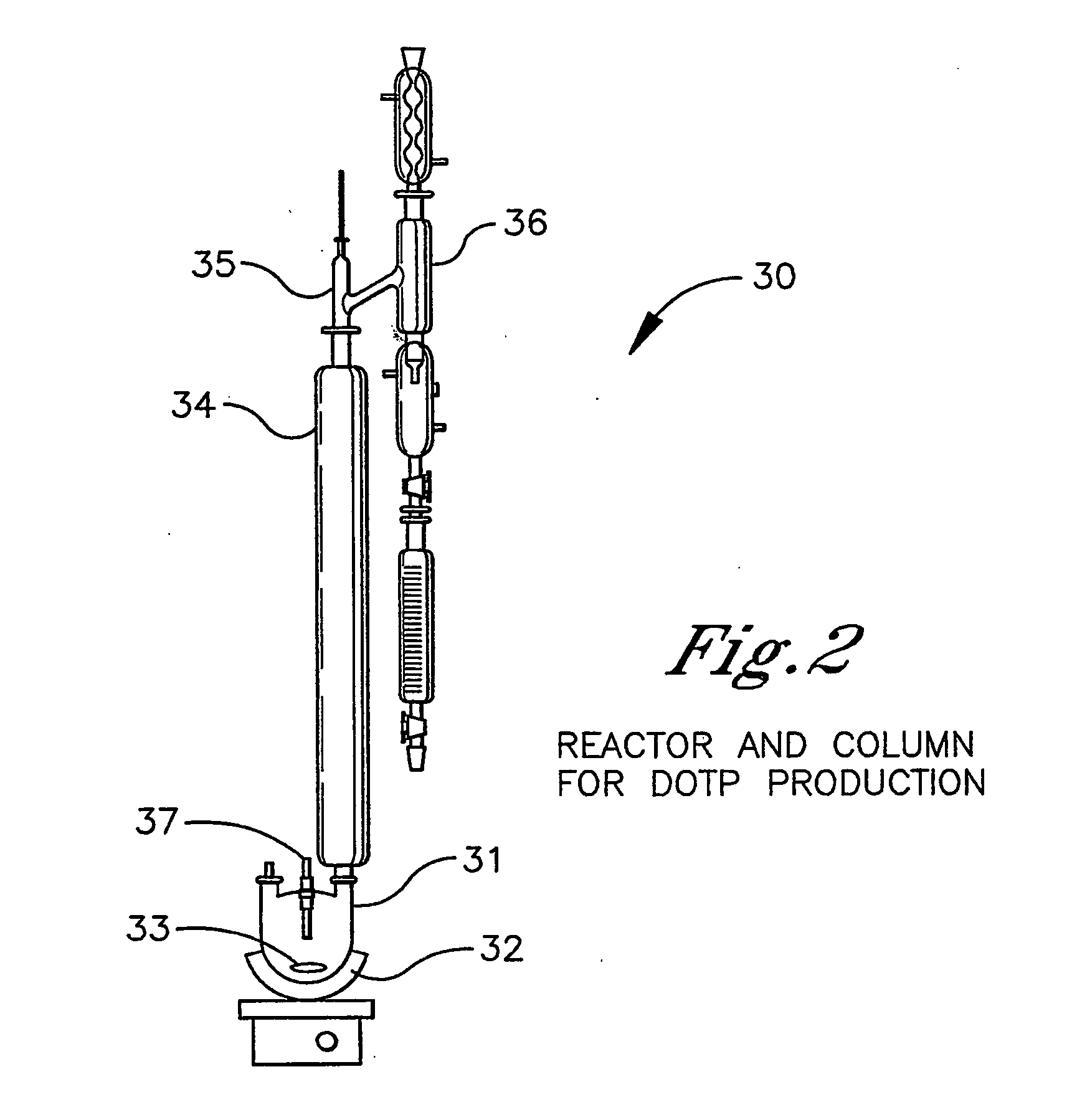 Production of terephthalic acid di-esters