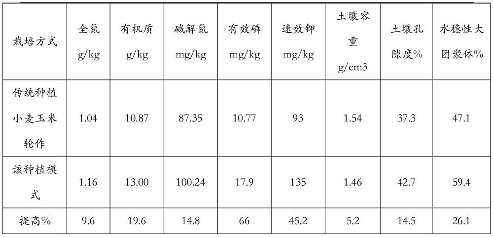 Wheat-spinach-corn-green manure intercropping cultivation method