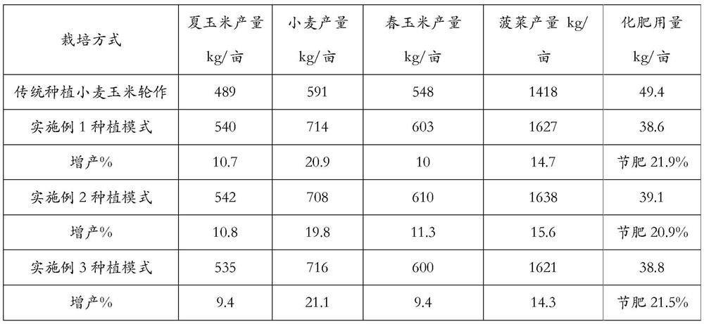 Wheat-spinach-corn-green manure intercropping cultivation method