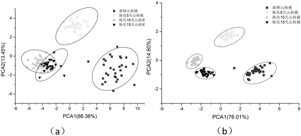 Sensor array optimization method for Carya cathayensis freshness detection