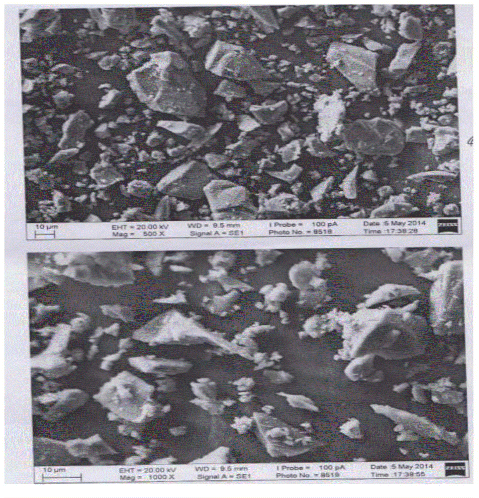 Biologic active mineral powder chewing gum and preparation method thereof