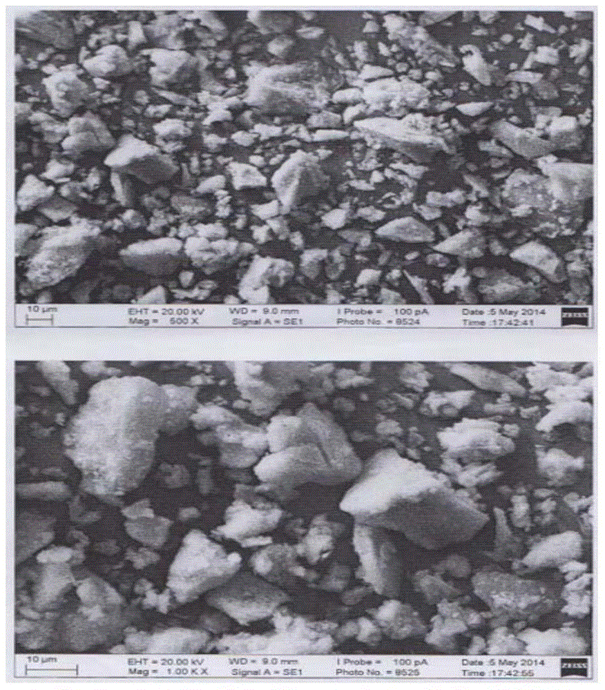 Biologic active mineral powder chewing gum and preparation method thereof