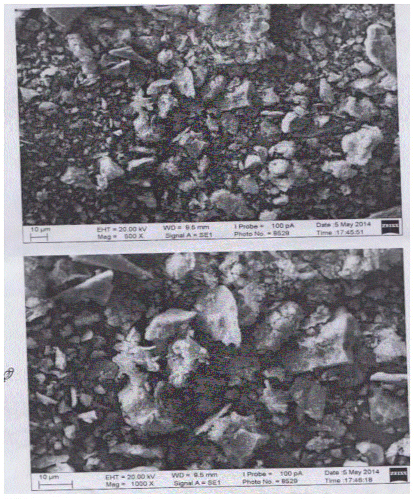 Biologic active mineral powder chewing gum and preparation method thereof