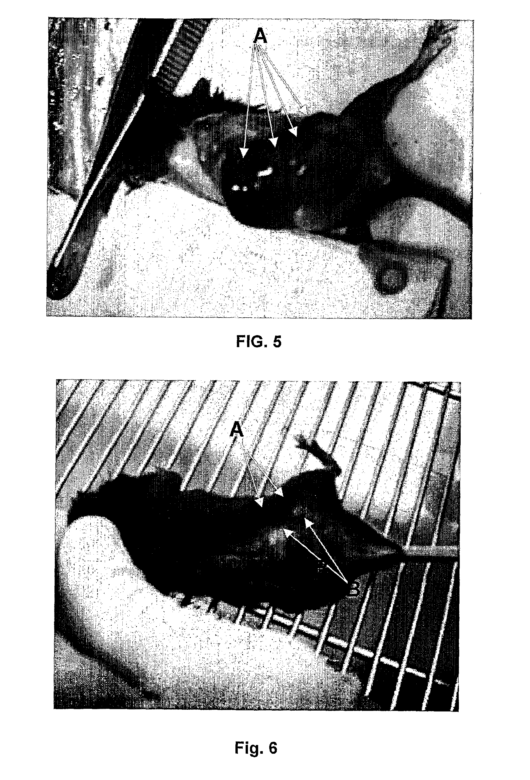 Methods to prepare penta-1,4-dien-3-ones and substituted cyclohexanones and derivatives with antitumoral and antiparasitic properties, the compounds and their uses