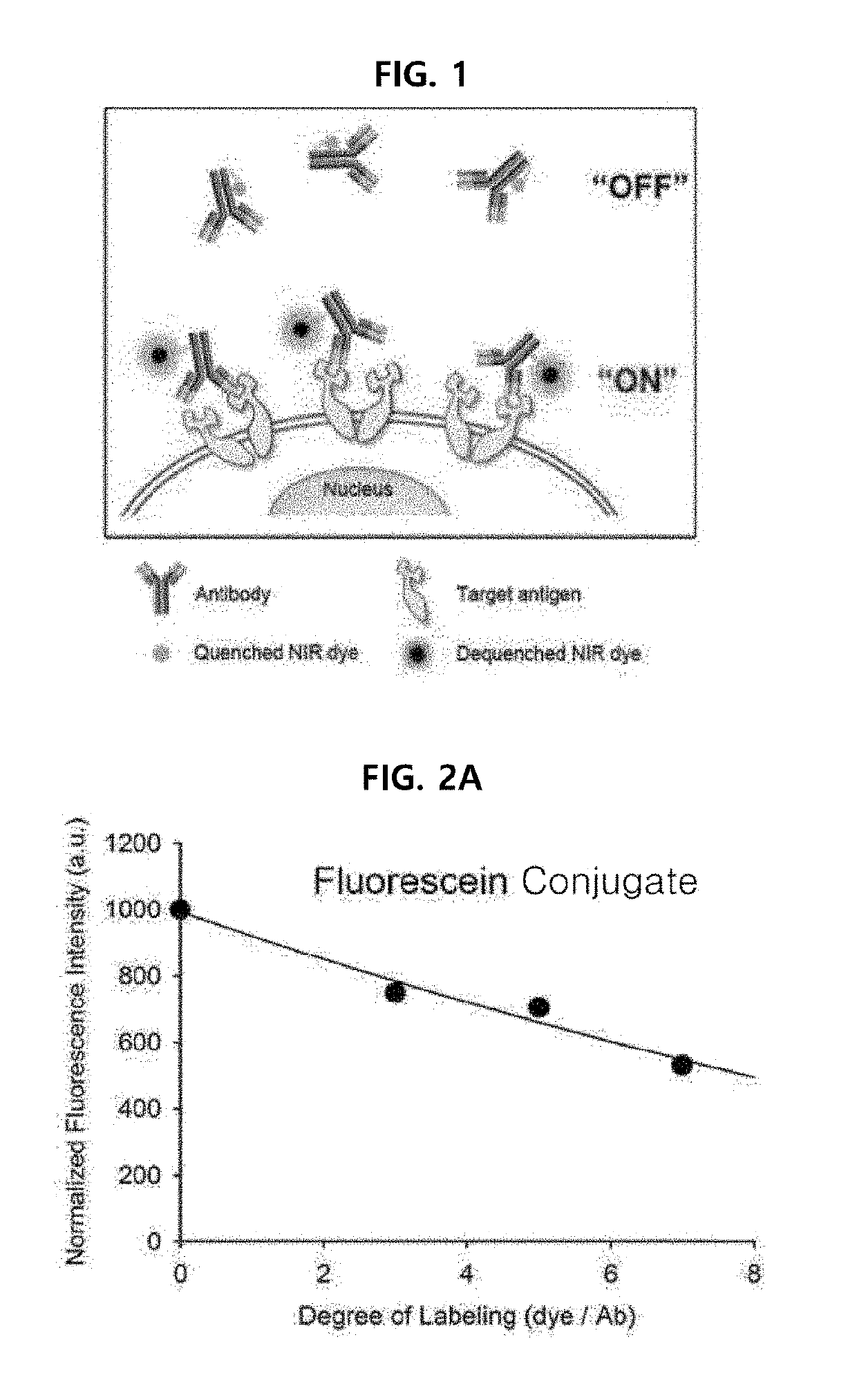 Antigen responsive antibody-fluorescent dye conjugate and method for fluorescence detection and imaging of target cell using the same