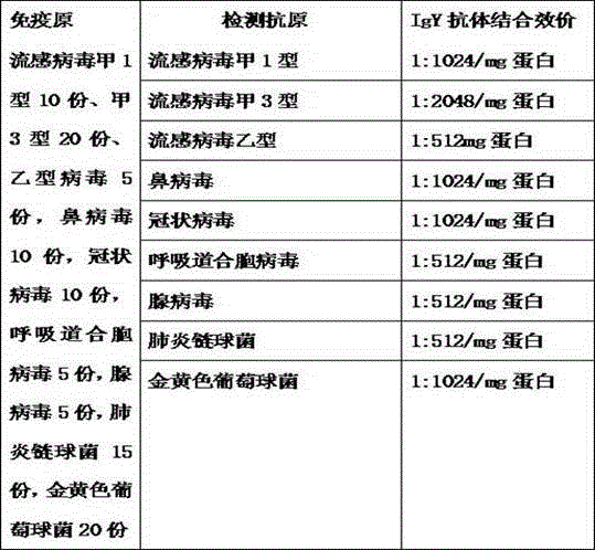 Preparation method of composite IgY antibody against common cold virus, streptococcus pneumonia and staphylococcus and application thereof