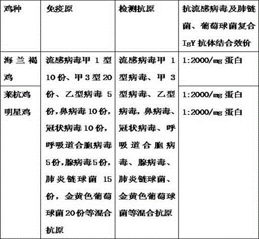 Preparation method of composite IgY antibody against common cold virus, streptococcus pneumonia and staphylococcus and application thereof