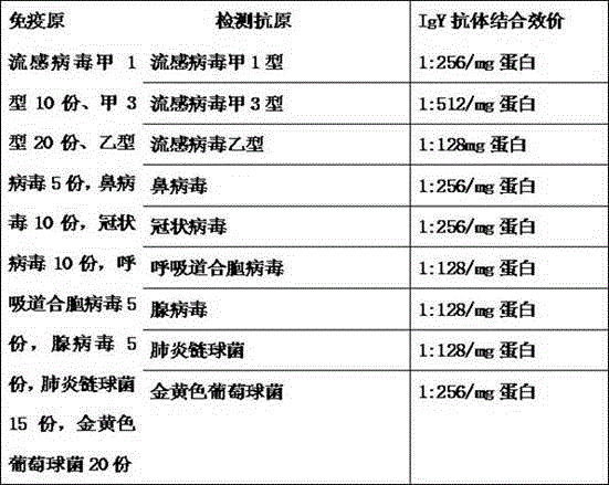 Preparation method of composite IgY antibody against common cold virus, streptococcus pneumonia and staphylococcus and application thereof