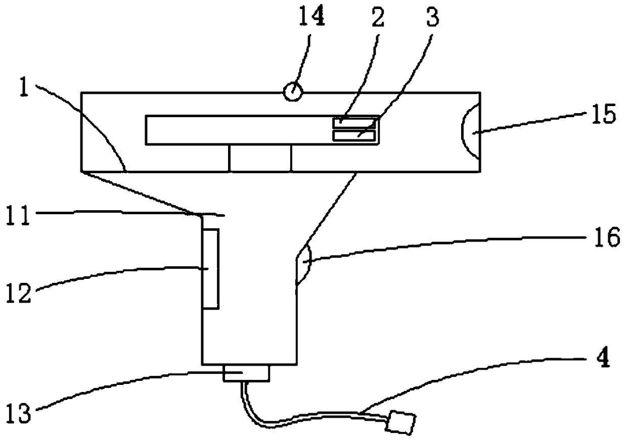 Dual-light path fruit nondestructive detection system and method based on near infrared spectrum