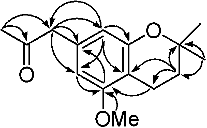 Phenolic compound, and preparation method and application thereof