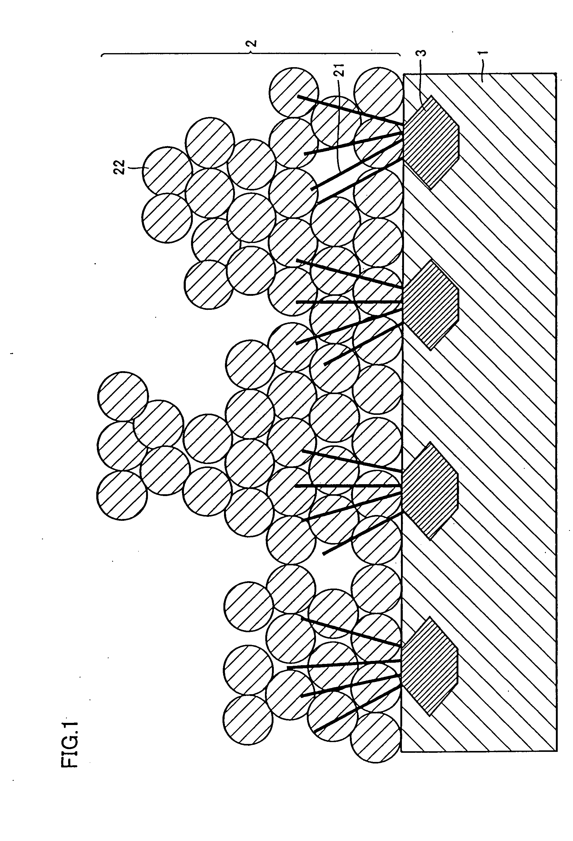 Capacitor Electode Member, Method for Manufacturing the Same, and Capacitor Provided with the Electrode Member