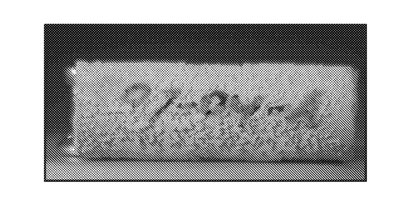 Compositions and methods to prevent corrosion by co2 on cement compositions