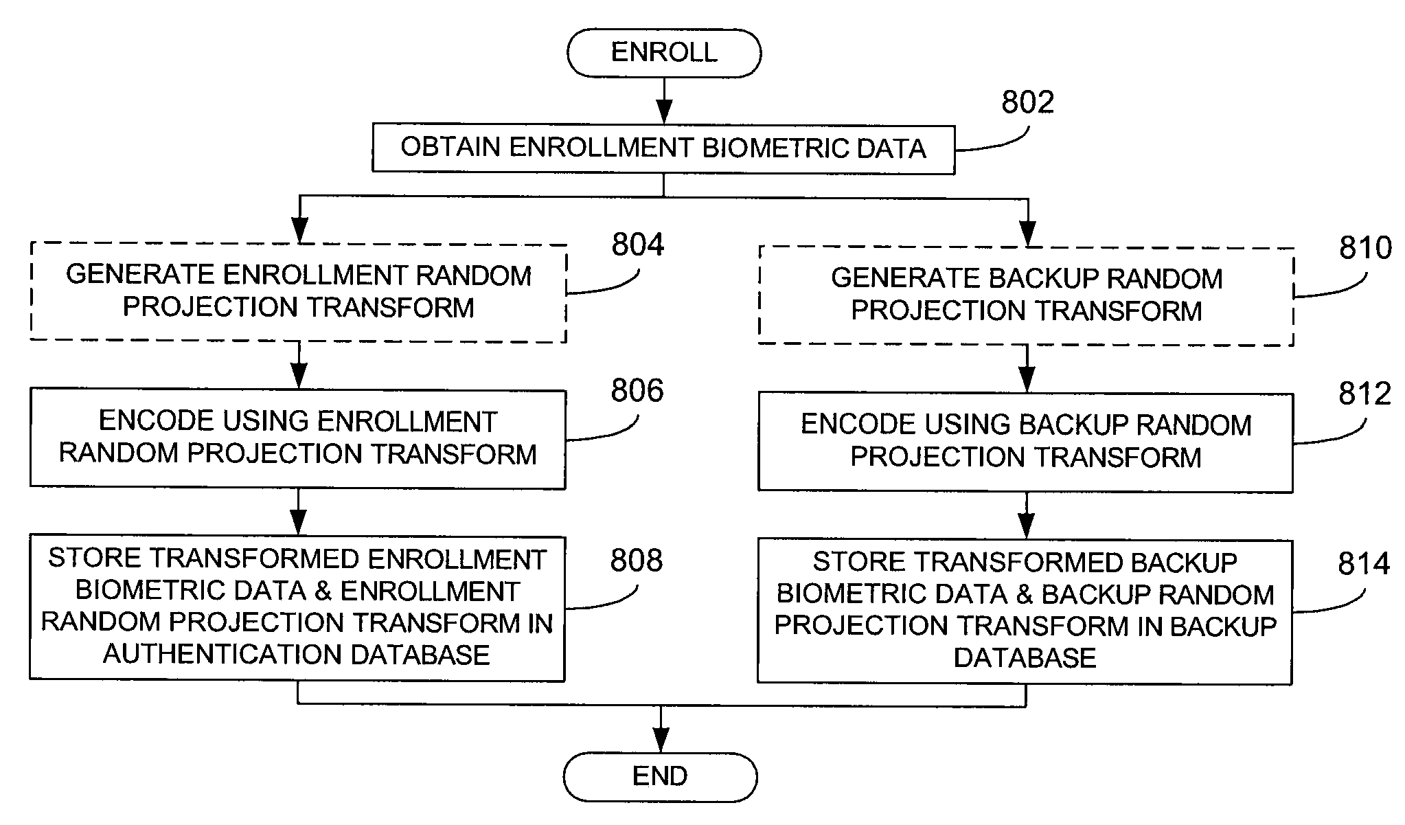 Biometric processing using random projection transforms