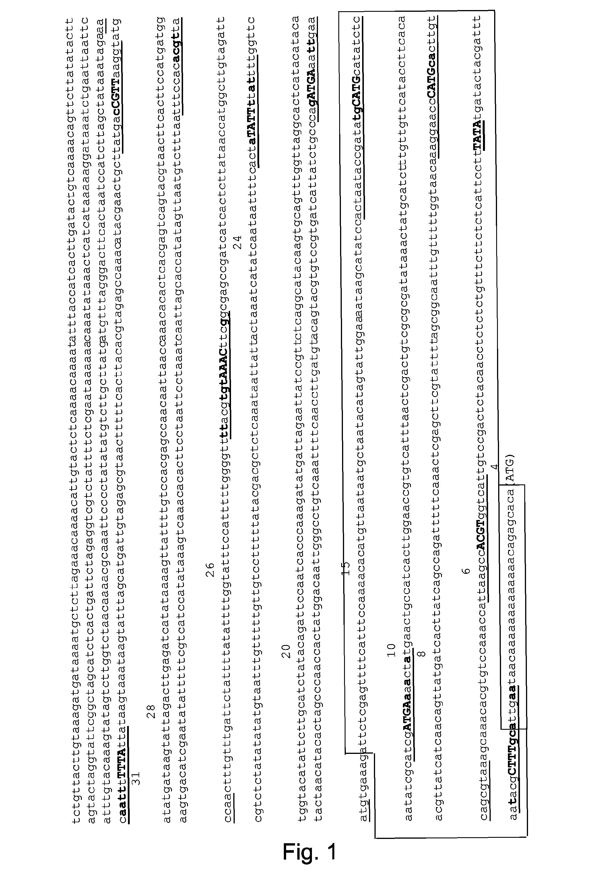 Expression cassettes for seed-preferential expression in plants