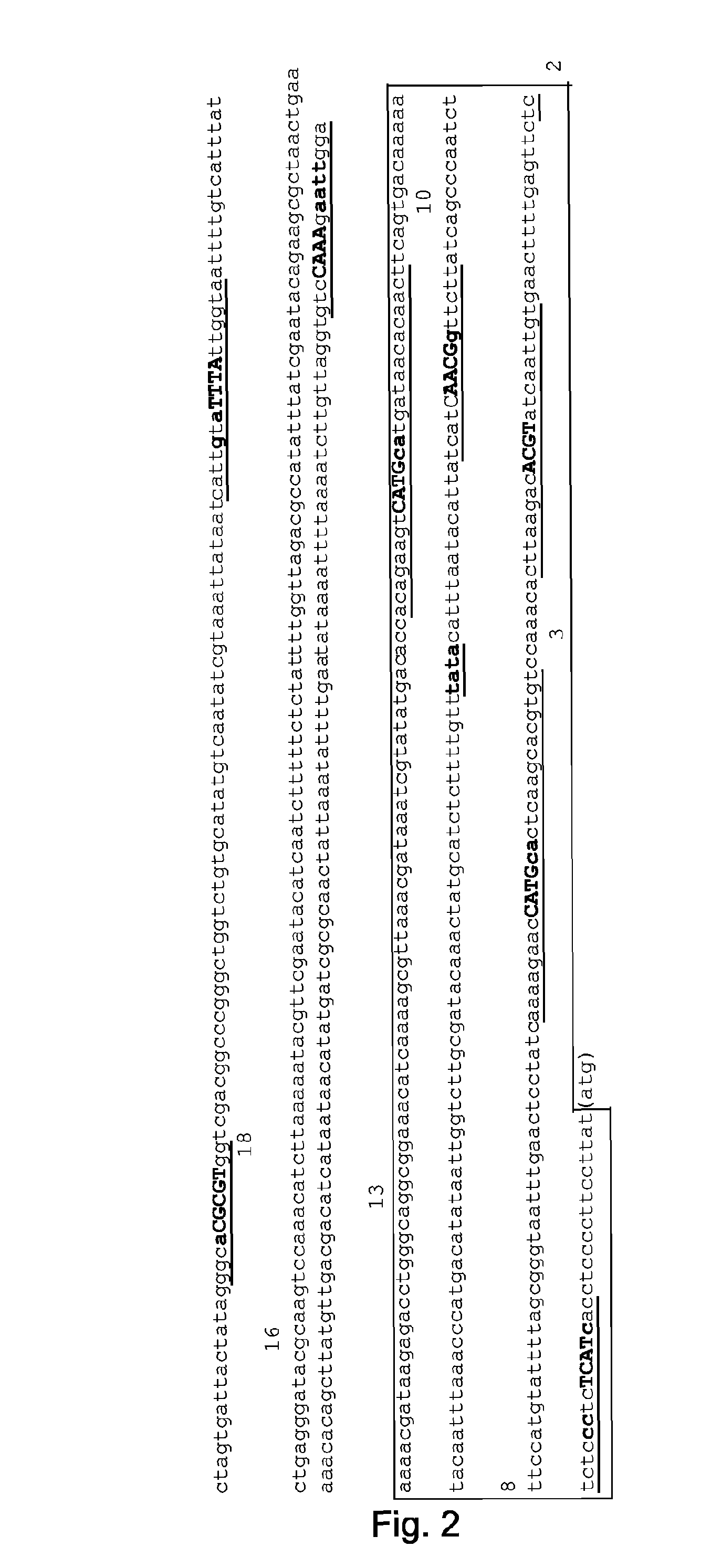 Expression cassettes for seed-preferential expression in plants