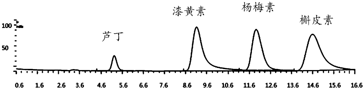 Synchronous extraction process of flavonoid glycoside of cotinus coggygria and application thereof