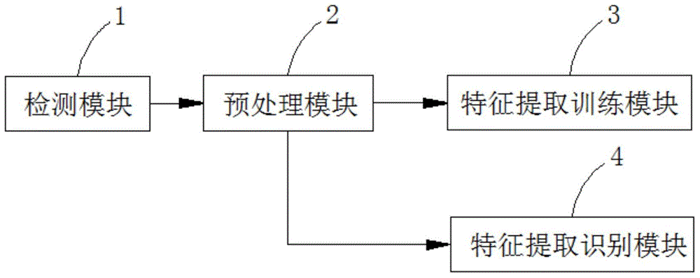 Dynamic face identification system and method