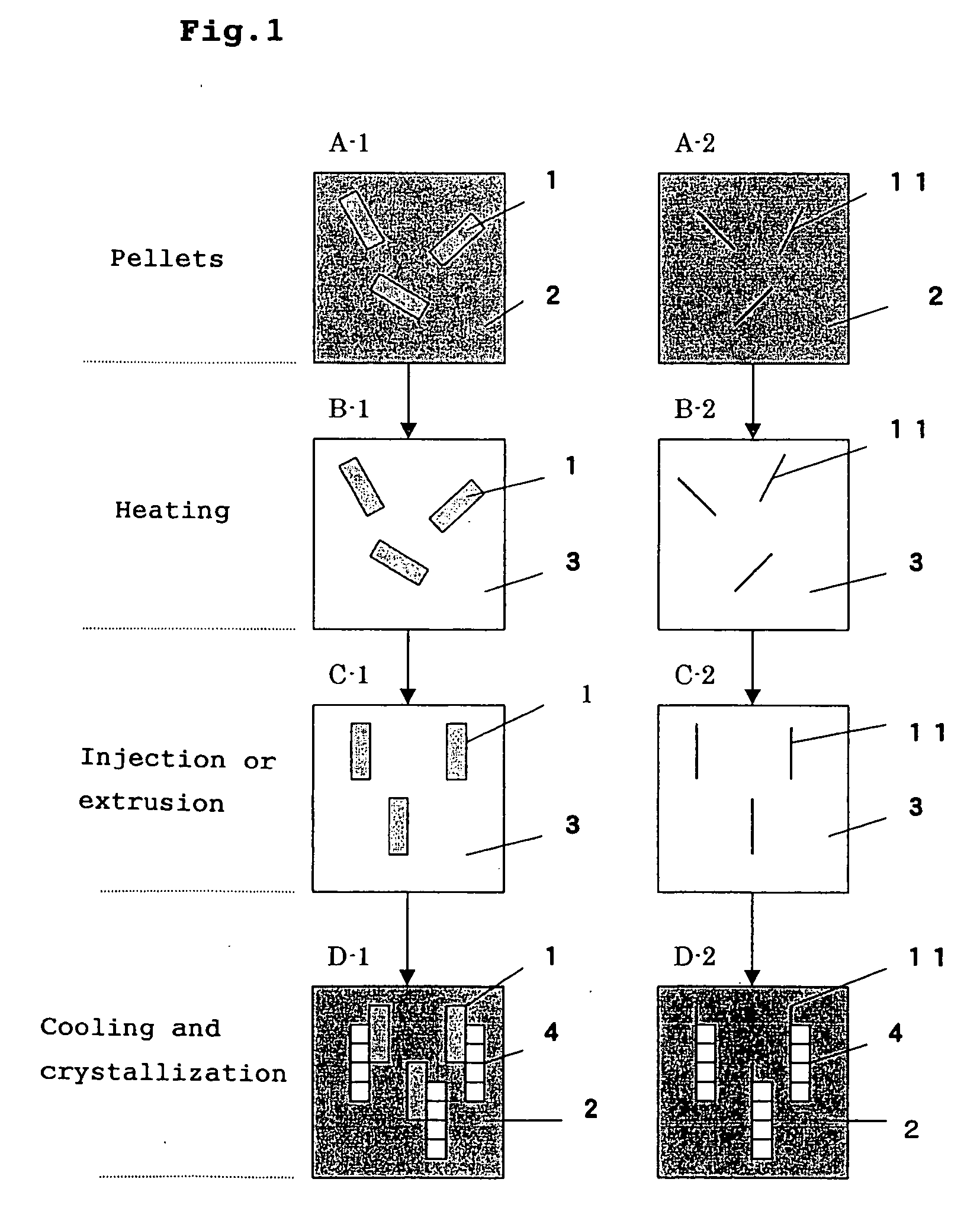 Polypropylene-based resin molded article and process for producing the same